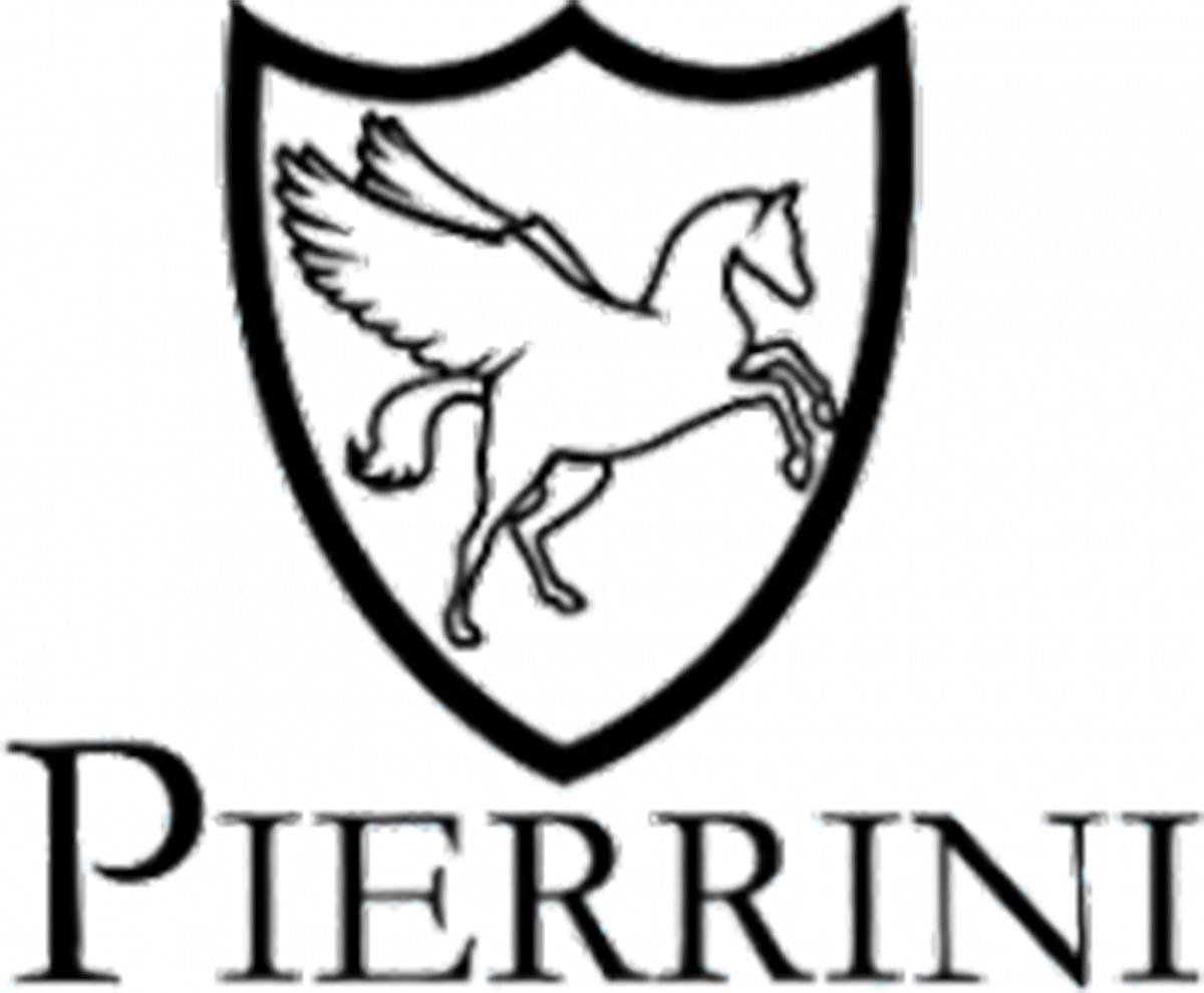 Pierrini pánské hodinky černé s nerez řemínkem Line Index & Arabic